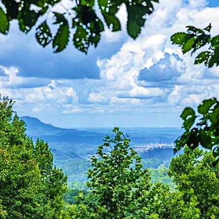Views, Game Room And Hot Tub Bearway To Heaven Сивиървил Екстериор снимка